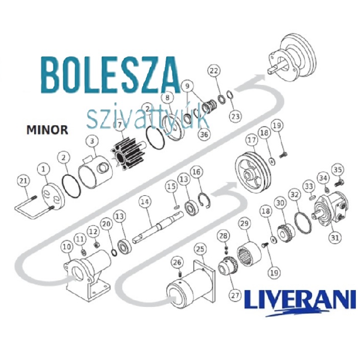 LIVERANI MINOR 40 járókerék, NBR - Image 4