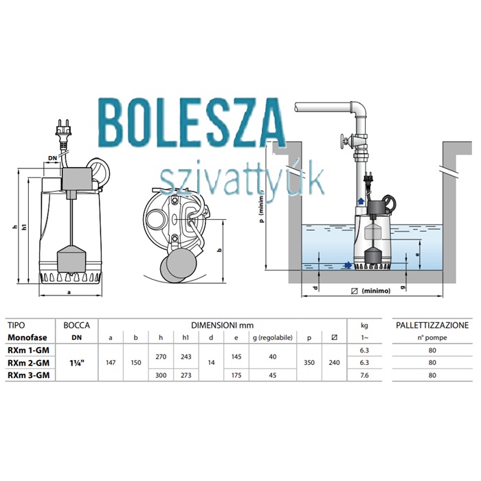 PEDROLLO RXm 1-10GM merülőszivattyú, szintkapcsolóval - Image 2