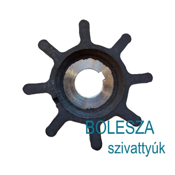 LIVERANI